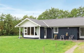 3 Bedroom Gorgeous Home In Blåvand